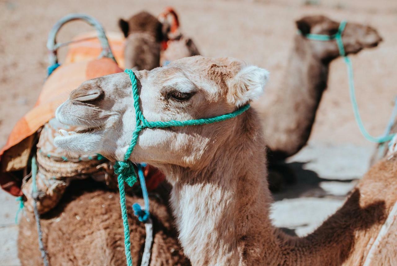 Atana Stay Al Ashkara al-Sharqiyah Exteriör bild